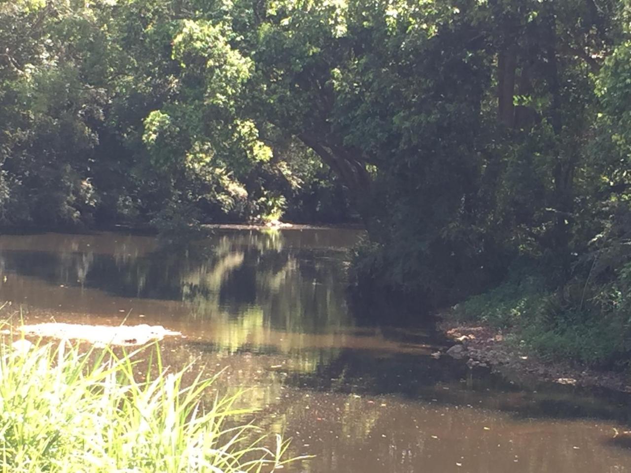 Yandina Caravan Park Exterior foto